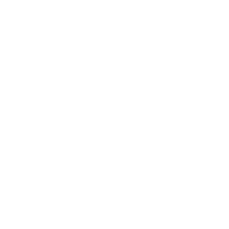 new mobility icon